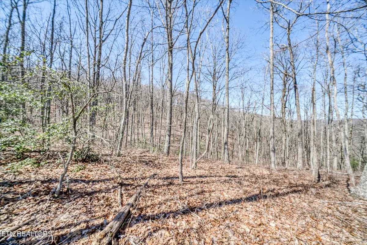 lot734&735 Renegade Mountain Pkwy, Crab Orchard, TN 37723 - #1