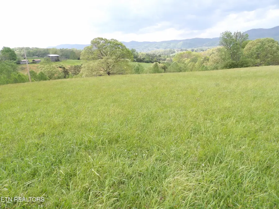 TBD Bolton Hollow Rd, Harrogate, TN 37752 - #3