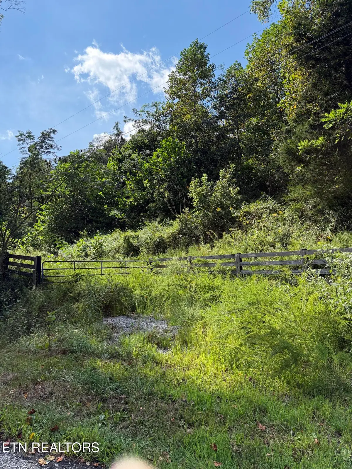 9478 Old Highway 28, Pikeville, TN 37367 - #1