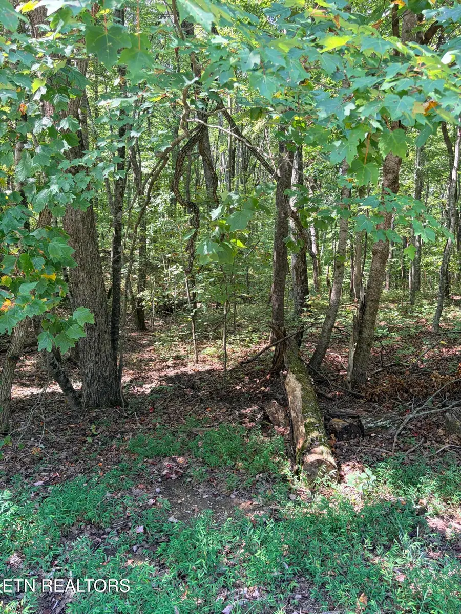 Cowpens Drive, Monterey, TN 38574 - #2