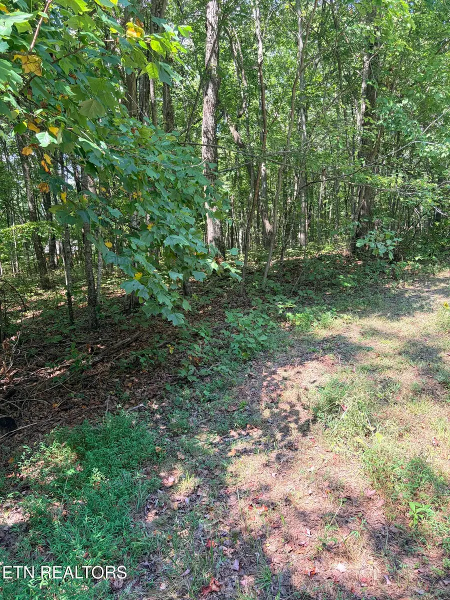 Cowpens Drive, Monterey, TN 38574 - #3