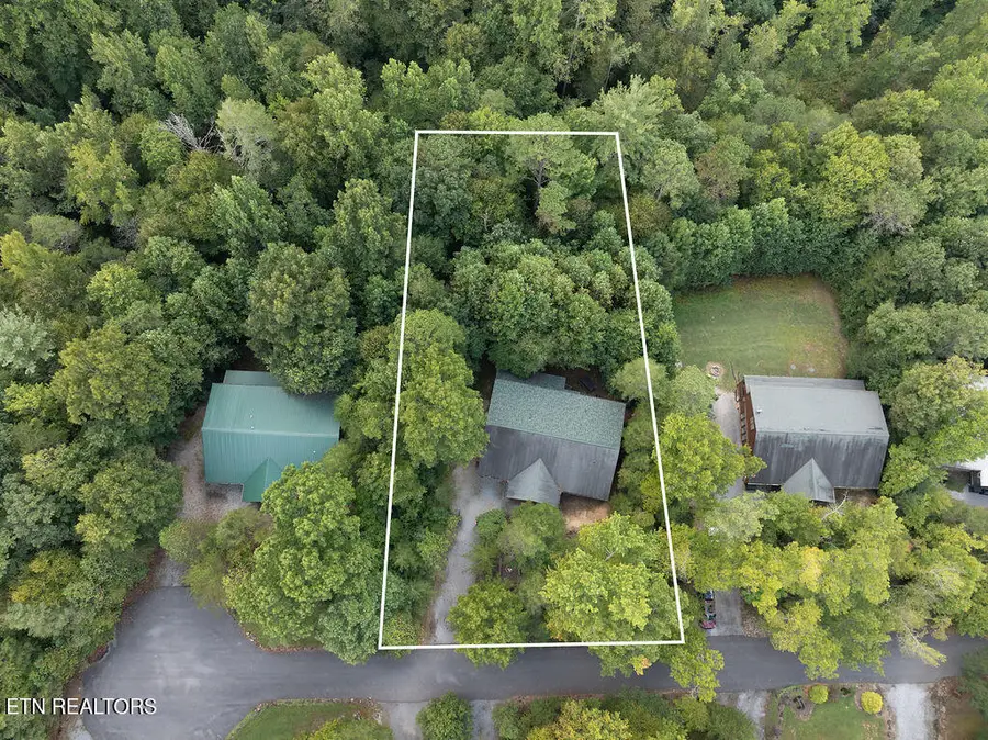 223 Amet Way, Cosby, TN 37722 - #3