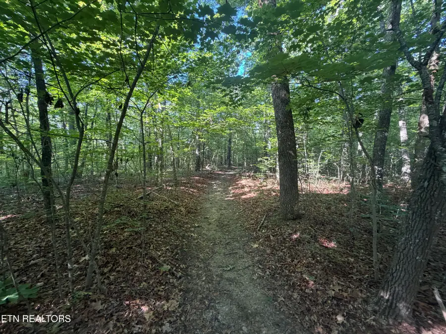 0 Muddy Branch Road Rd, Crossville, TN 38571 - #2