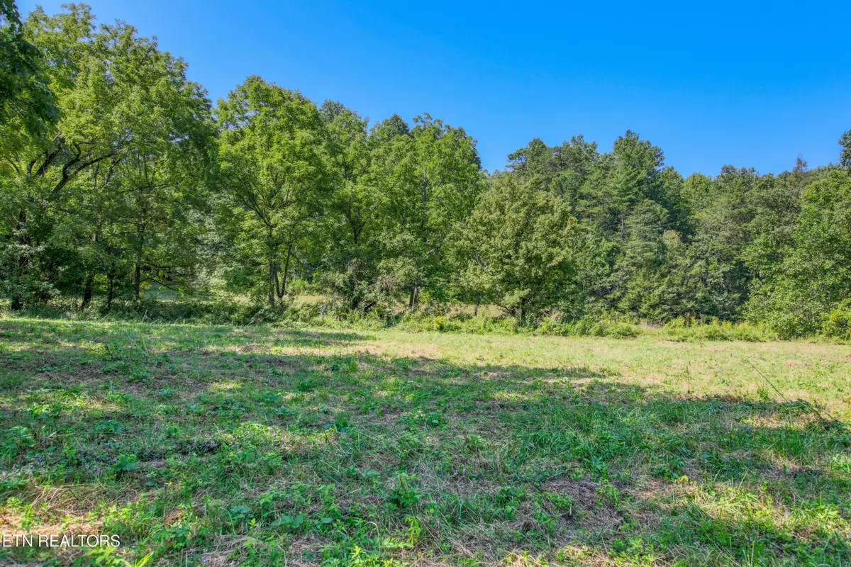 Belcher Loop, Tellico Plains, TN 37385 - #1
