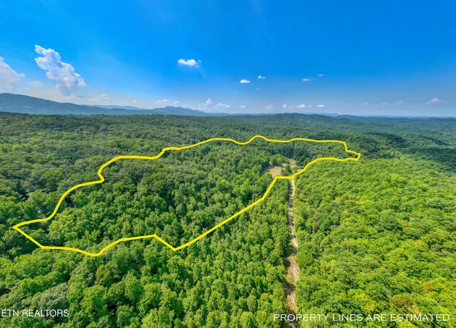 Belcher Loop, Tellico Plains, TN 37385 - #2