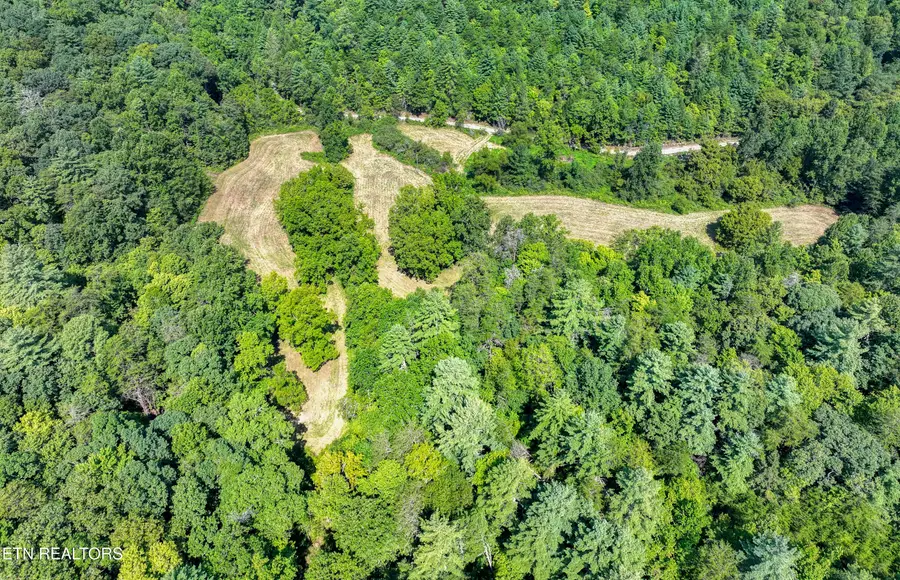 Belcher Loop, Tellico Plains, TN 37385 - #3