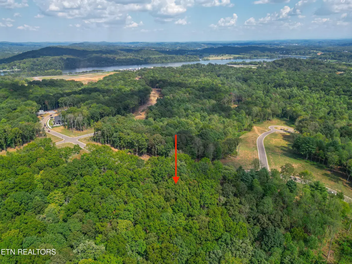 215 Flip Flop Way, Loudon, TN 37774 - #1