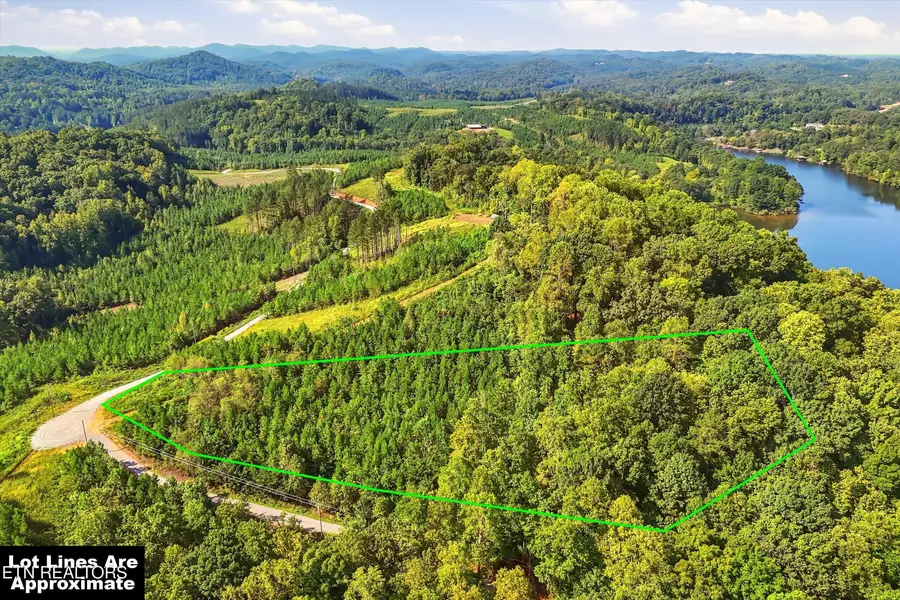 2097 Winding Trail Tr, Vonore, TN 37885 - #3