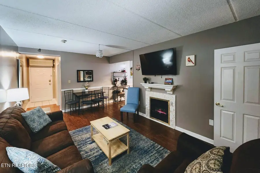 413 Baskins Creek Rd #UNIT 301, Gatlinburg, TN 37738 - #2