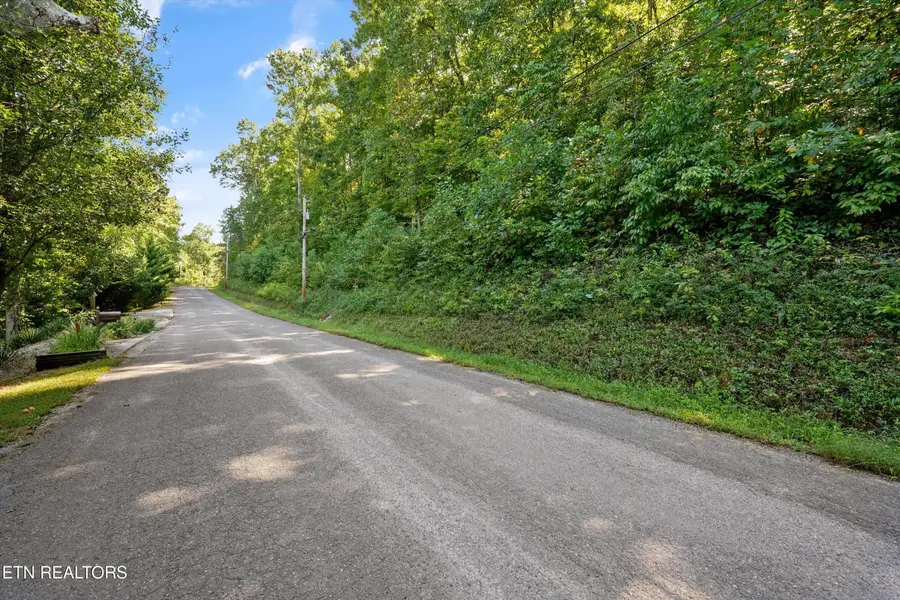 0 Cove Pointe Rd, Lafollette, TN 37766 - #3