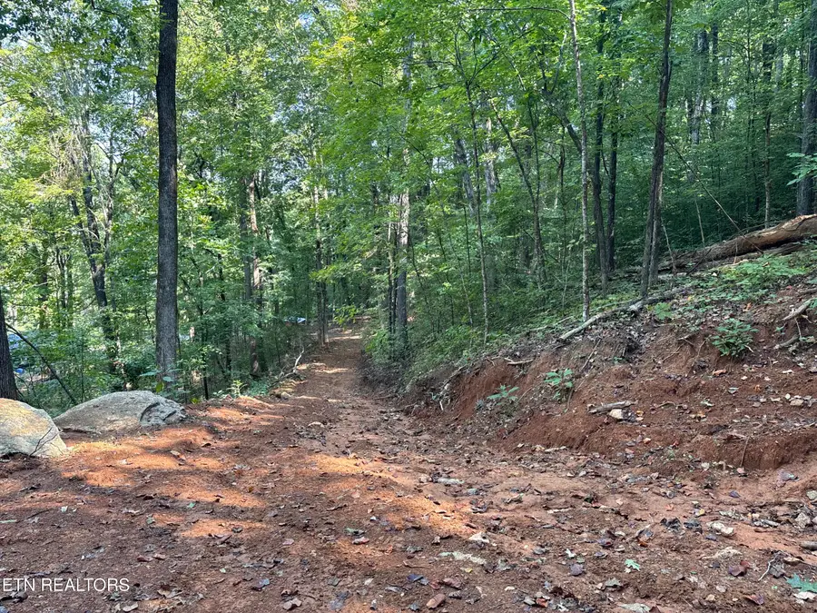 00 County Road 38, Riceville, TN 37370 - #3