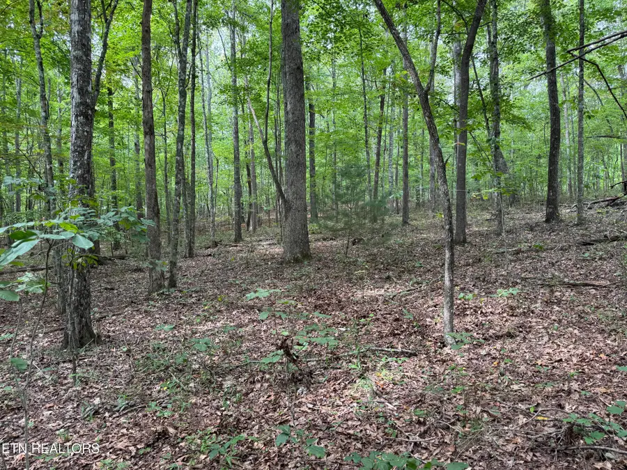 Wildcat Rd, Jamestown, TN 38556 - #3