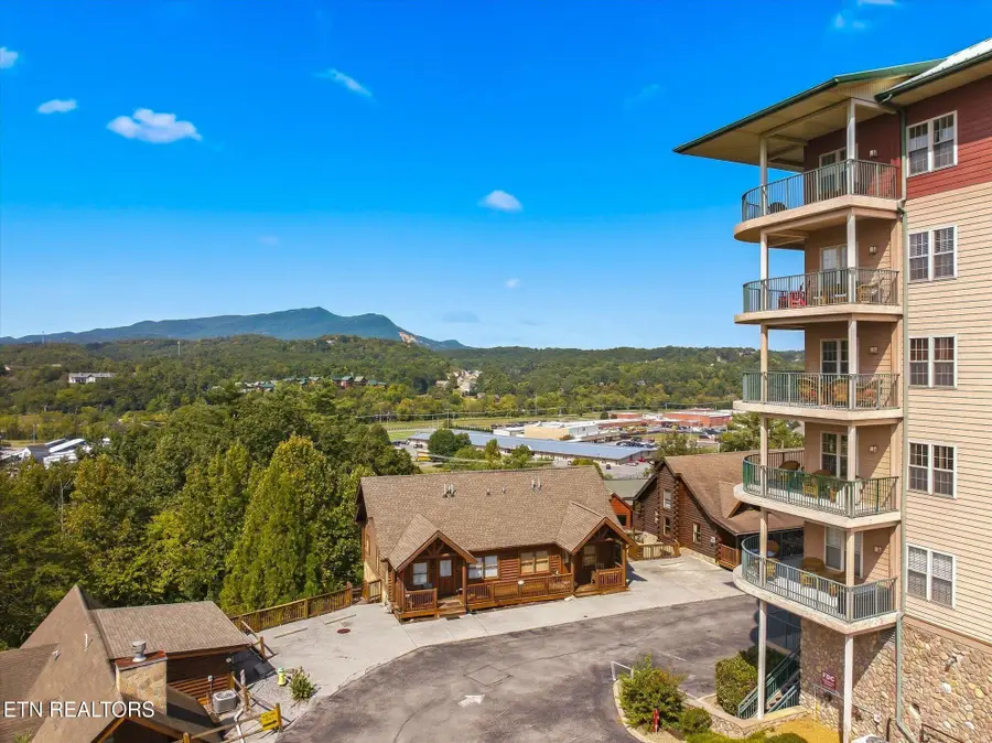 410 Big Bear Way #UNIT 3005, Pigeon Forge, TN 37863 - #2