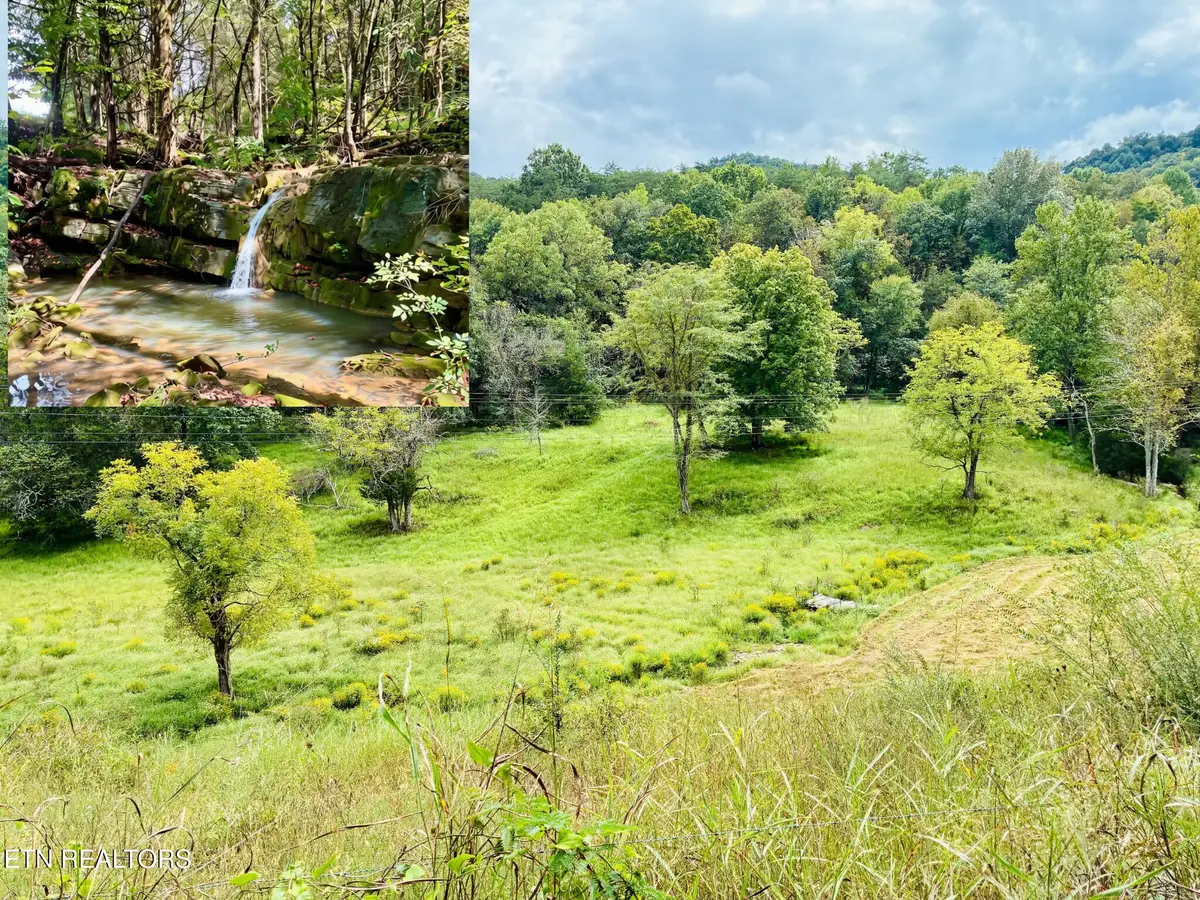 00 Cantwell Valley Rd, Sneedville, TN 37869 - #1