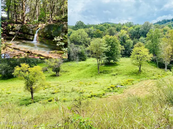 00 Cantwell Valley Rd, Sneedville, TN 37869