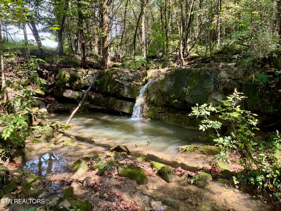 00 Cantwell Valley Rd, Sneedville, TN 37869 - #2
