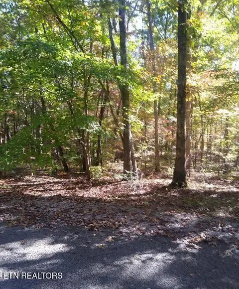 113 Hunterwood Lane, Crossville, TN 38558 - #3