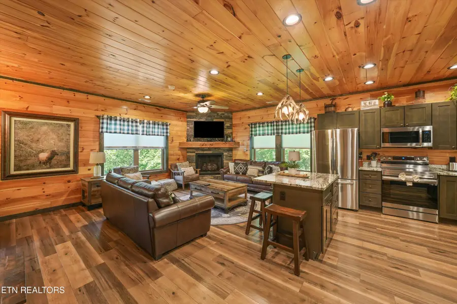 374 Buena Vista Drive, Sevierville, TN 37876 - #2
