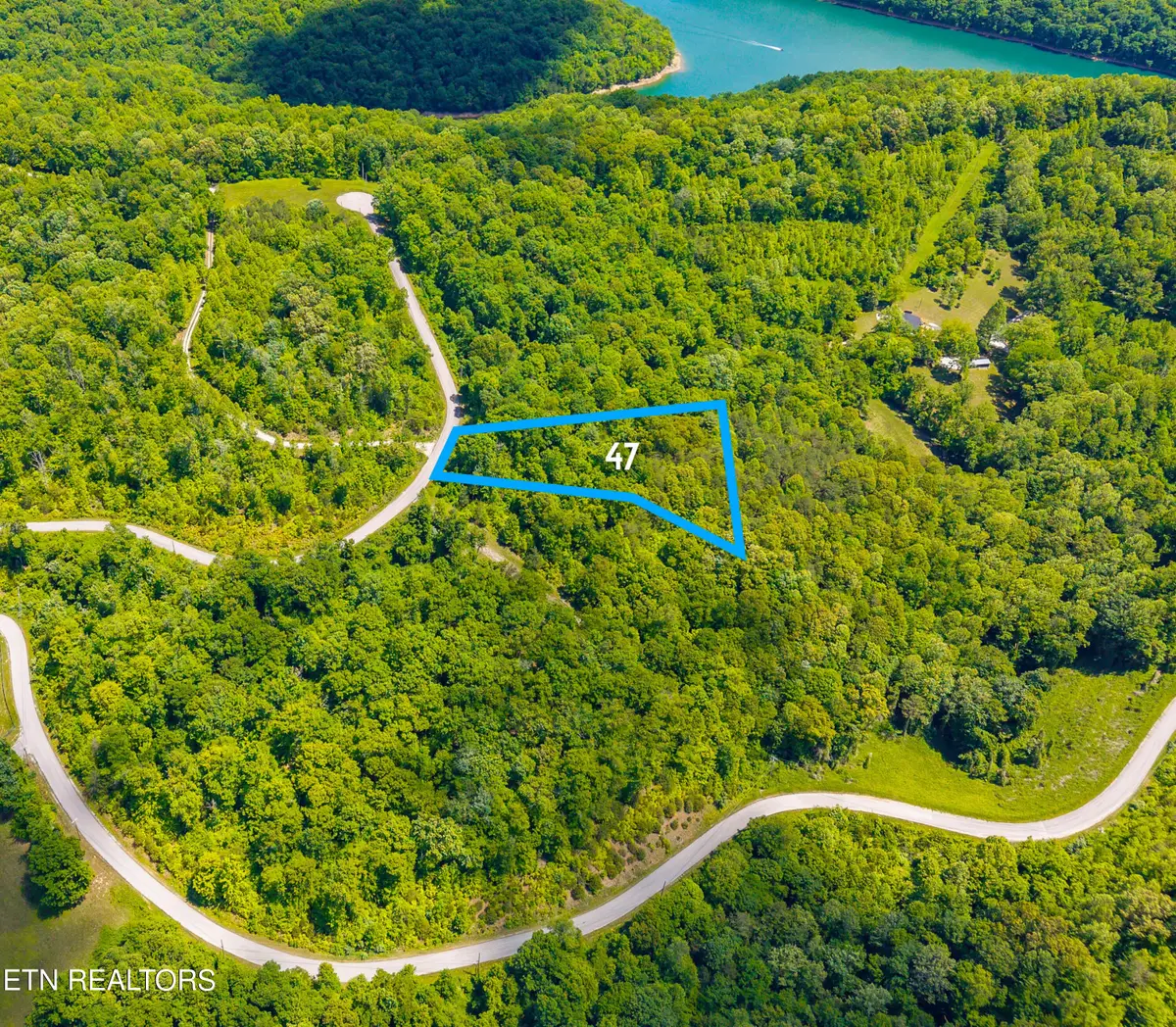 Lot 47 Horseshoebend, Speedwell, TN 37870 - #1