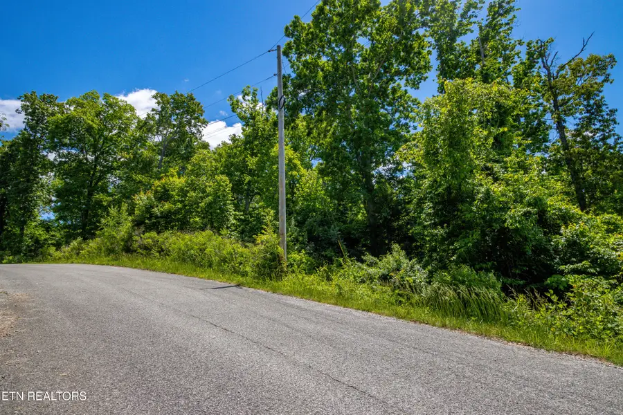 Lot 47 Horseshoebend, Speedwell, TN 37870 - #2