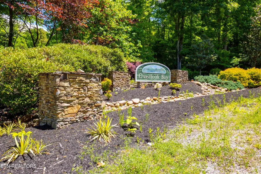 Lot 47 Horseshoebend, Speedwell, TN 37870 - #3