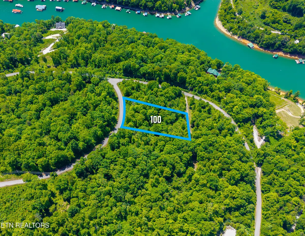 Lot 100 Saddleridge Drive, Speedwell, TN 37870 - #1