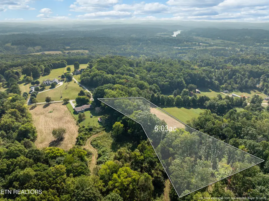 3951 Strong Rd, Mascot, TN 37806 - #2