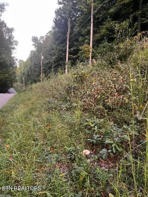 Yoakum Hollow Rd, Jacksboro, TN 37757 - #2