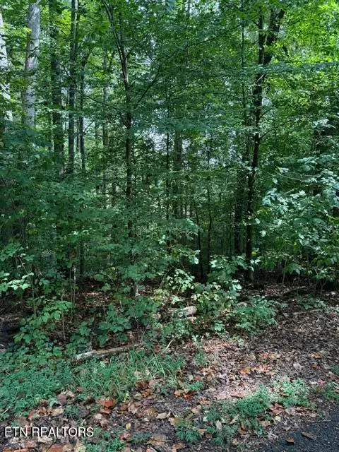 Rock Hill Rd, Maryville, TN 37804 - #1