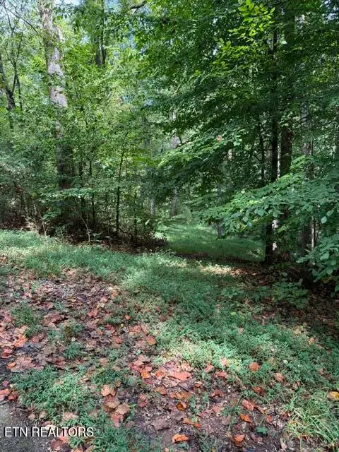 Rock Hill Rd, Maryville, TN 37804 - #3