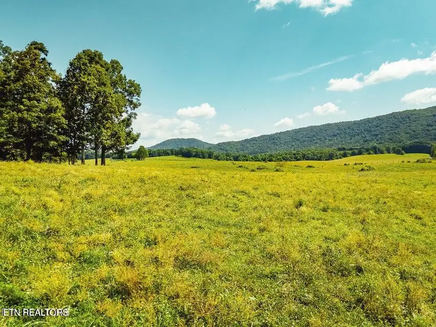 White Oak Cir Rd, Sunbright, TN 37872 - #2