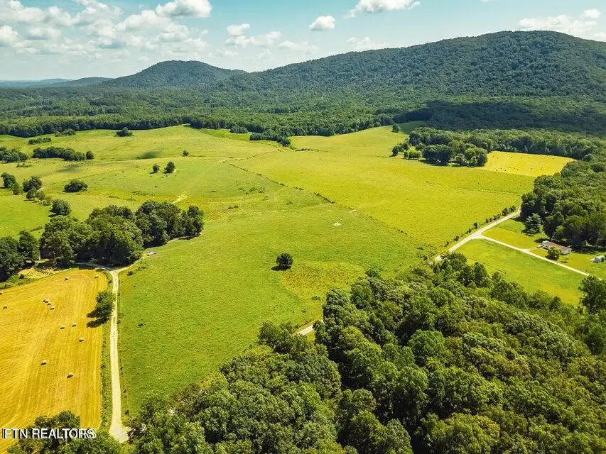 White Oak Cir Rd, Sunbright, TN 37872 - #3