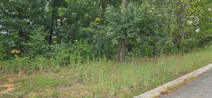 Lot 1 Sugar Maple Court, Madisonville, TN 37354 - #2