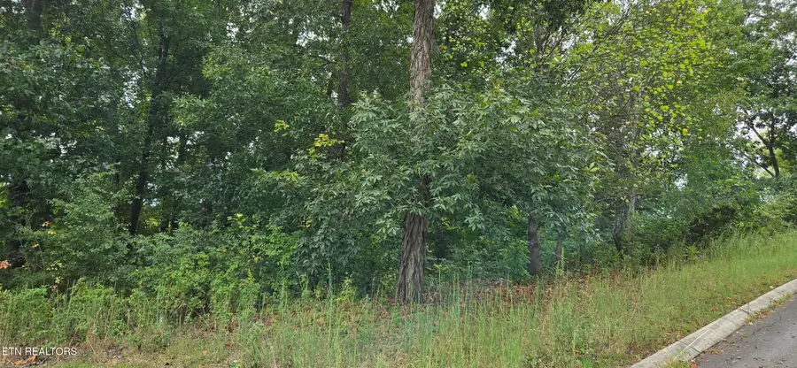 Lot 1 Sugar Maple Court, Madisonville, TN 37354 - #3