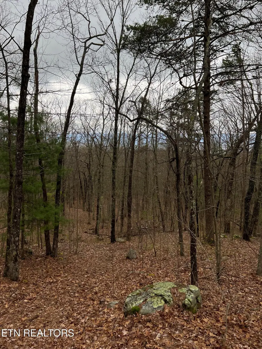 6637 Avens Lane, Tallassee, TN 37878 - #2