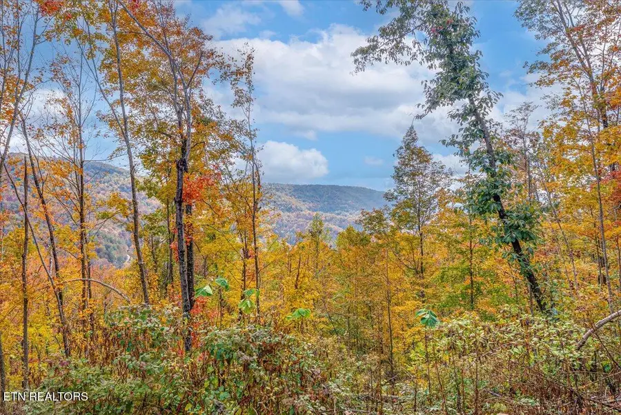 Lot O Buffalo Rd, Oneida, TN 37841 - #2