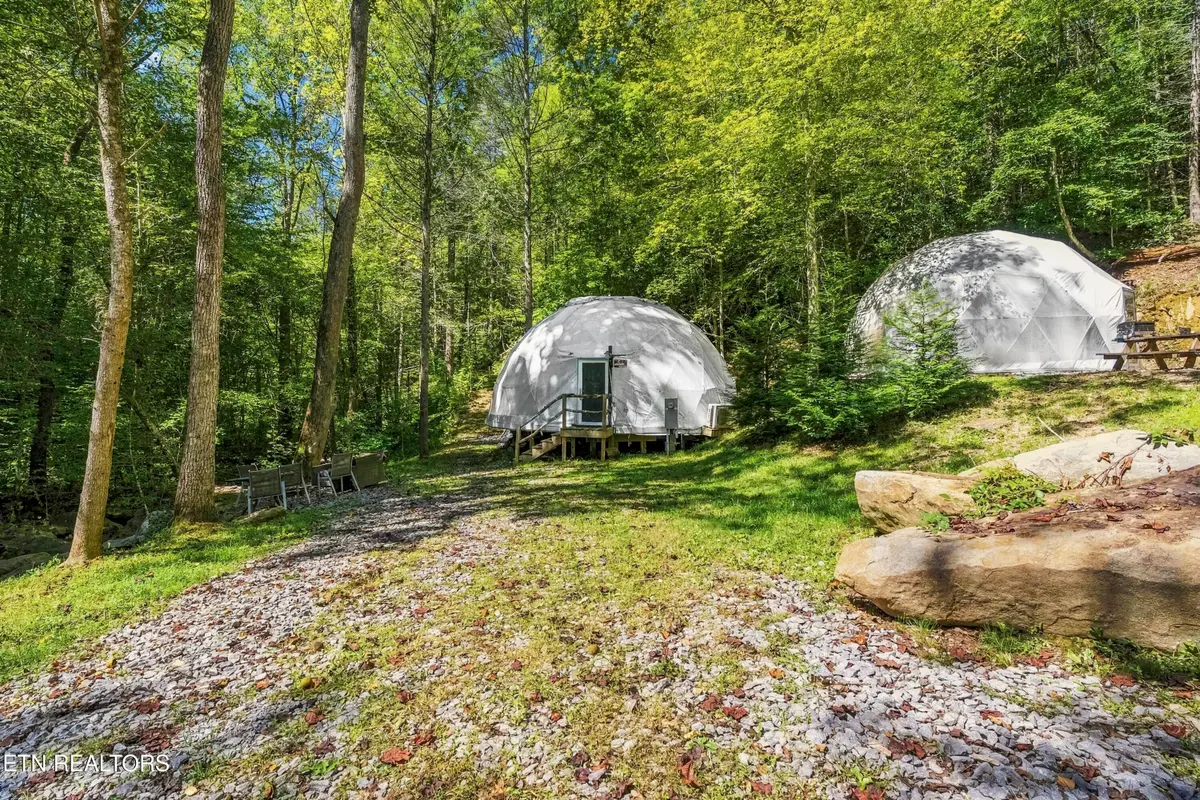 910 Windy Hill Way, Cosby, TN 37722 - #1