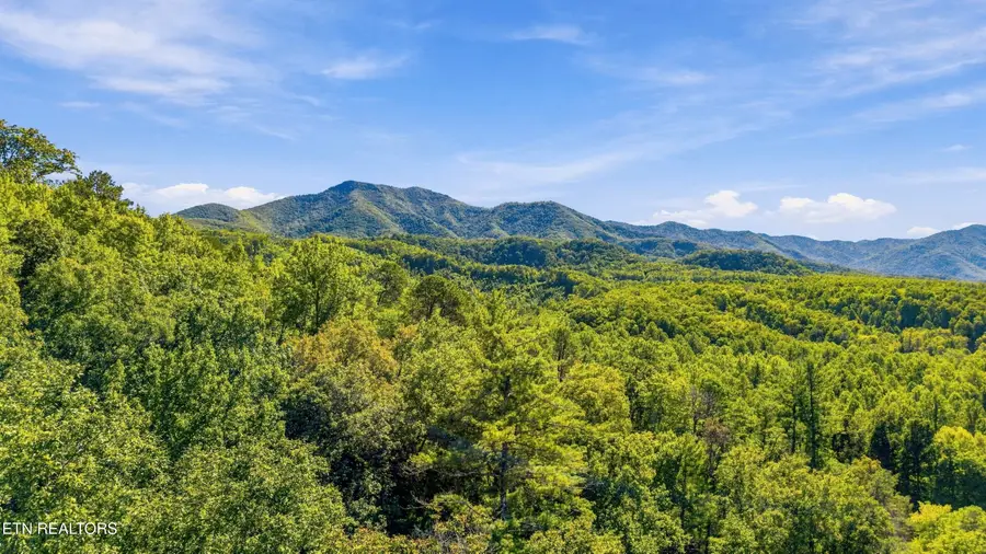 910 Windy Hill Way, Cosby, TN 37722 - #3