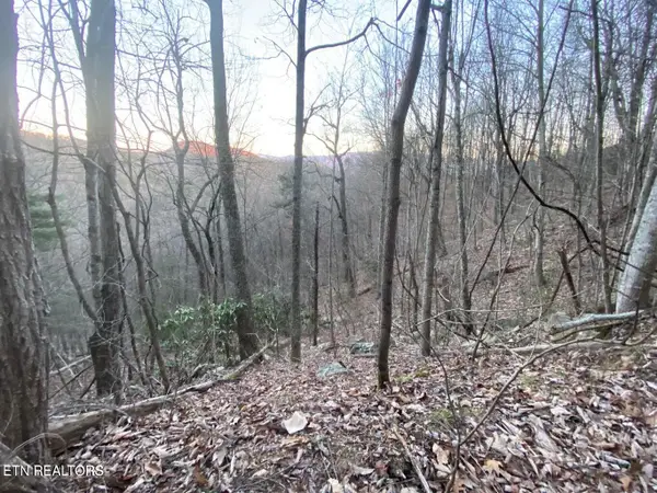 Lot 35 Elderberry Drive, Sevierville, TN 37876