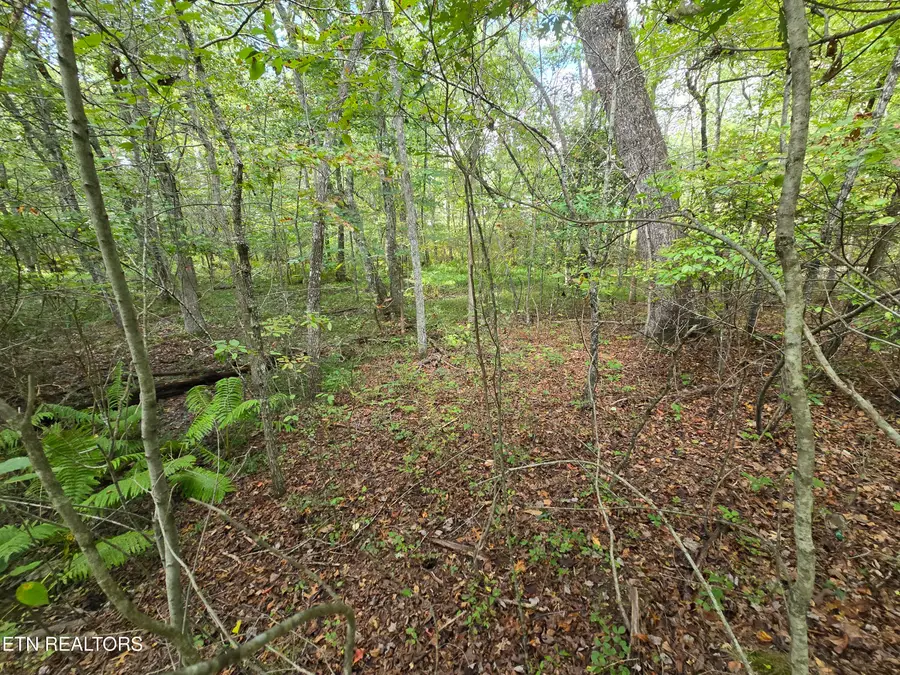 4027 Desoto Drive, Crossville, TN 38572 - #2