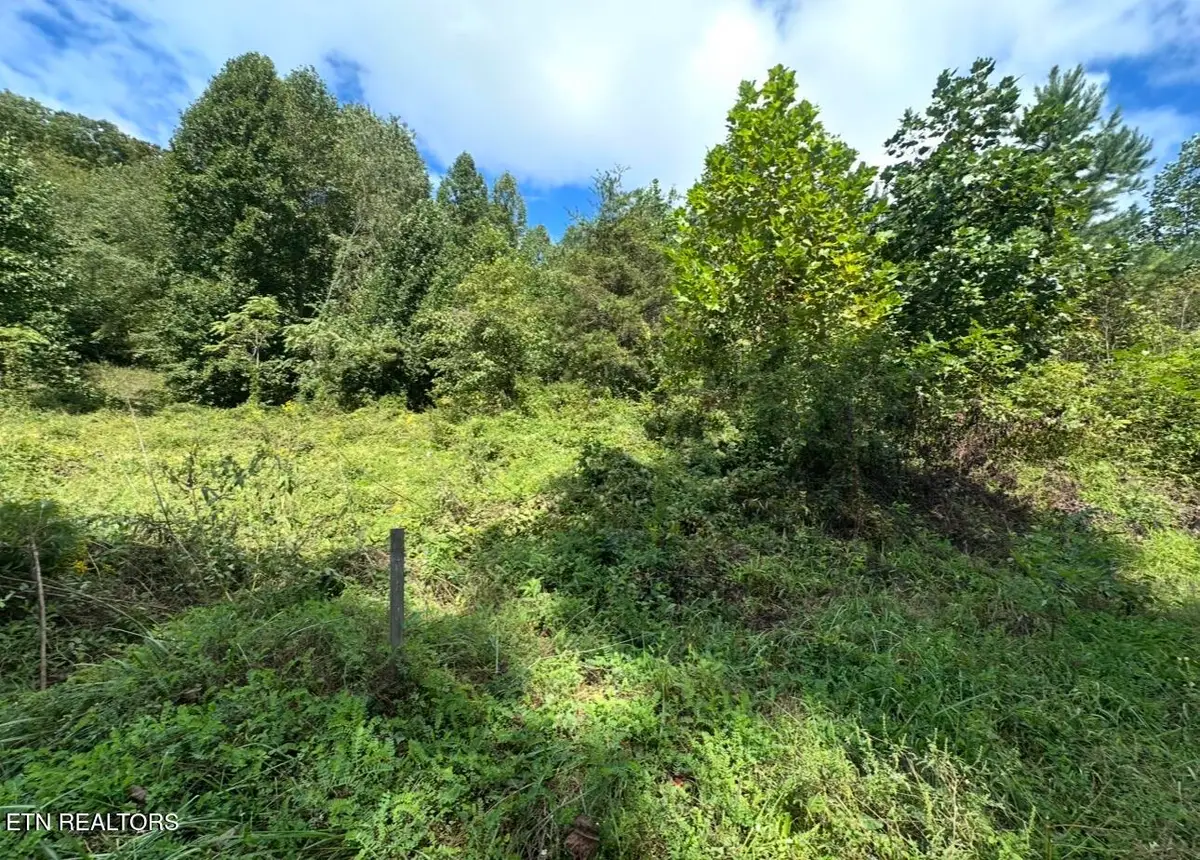 TBD Hubbard Springs Rd, Jonesville, VA 24263 - #1