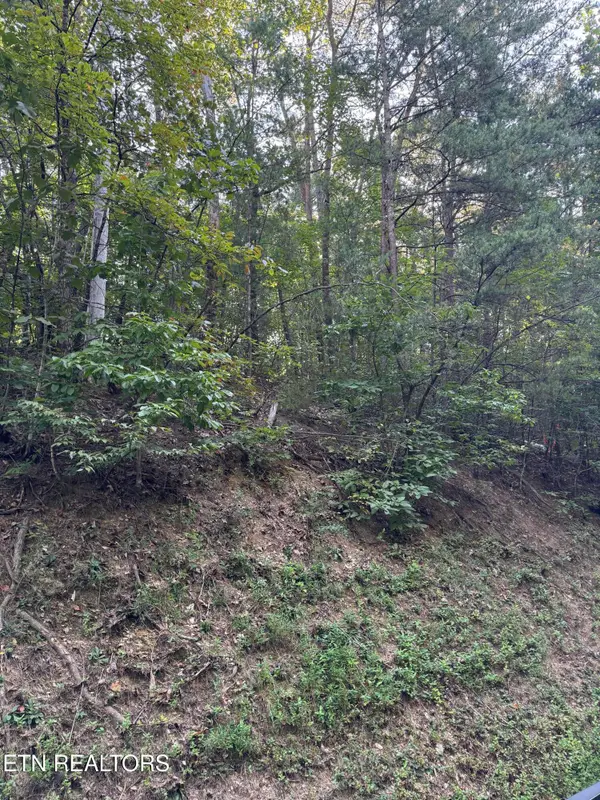 Progess Hill Drive Blvd, Pigeon Forge, TN 37863