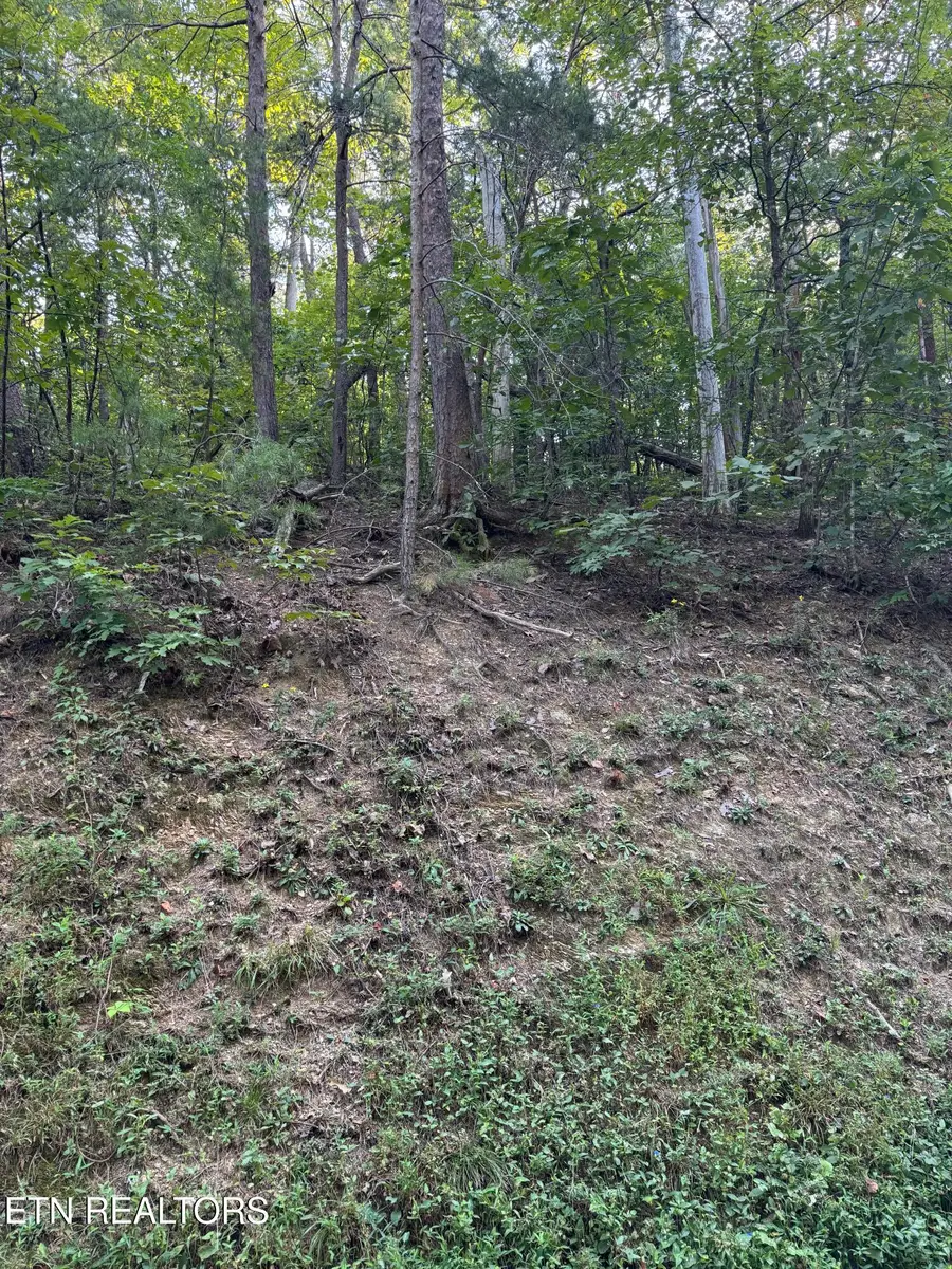 Progess Hill Drive Blvd, Pigeon Forge, TN 37863 - #2