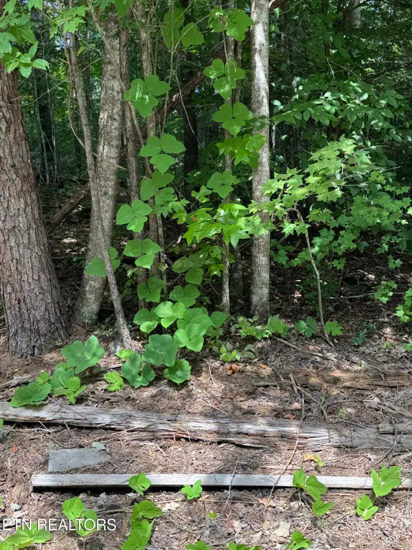 Progress Hill, Pigeon Forge, TN 37863