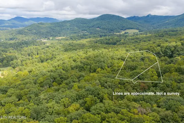 165 Lail Lane, Townsend, TN 37882