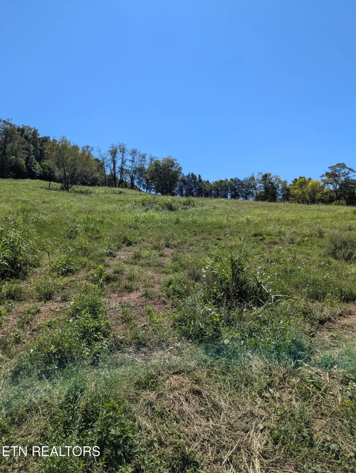 0000 Richland Road Rd, Mascot, TN 37806 - #1