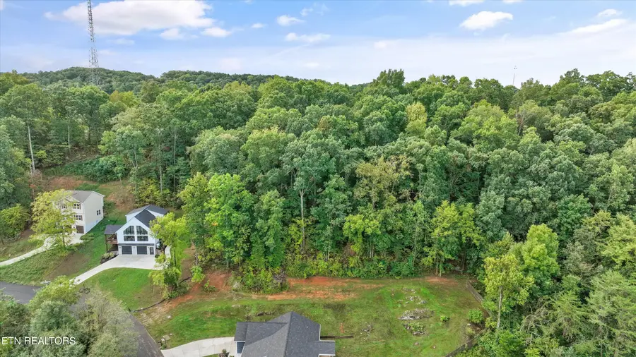 Lot 41 Clear Creek Rd, Kodak, TN 37764 - #3