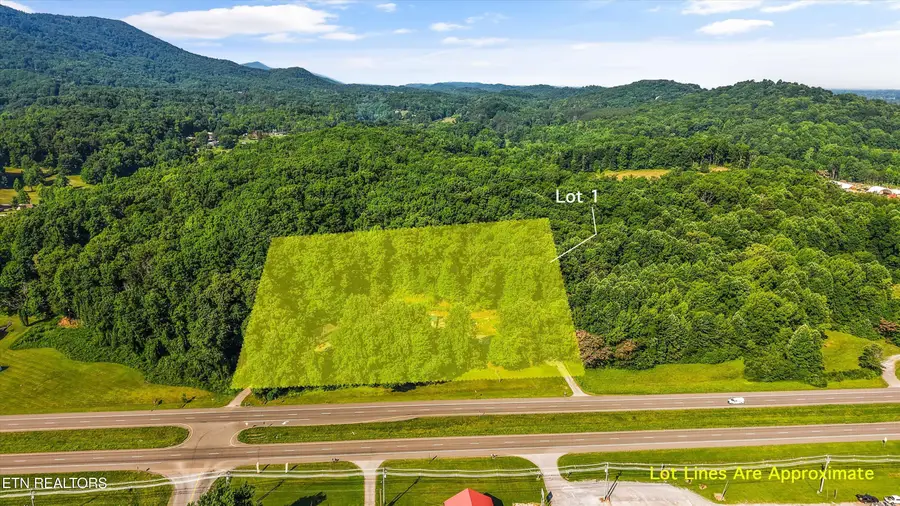 4536 E Lamar Alexander Pkwy, Walland, TN 37886 - #2