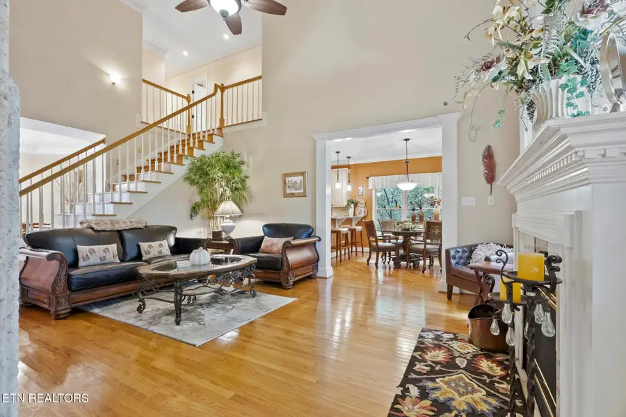 240 Skyview Drive, Lenoir City, TN 37772 - #3