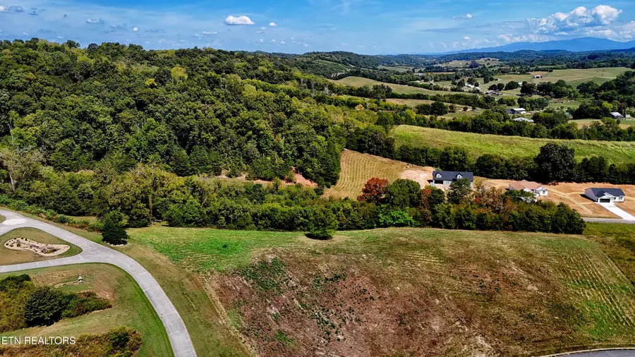 5 Lots Cocke County, Parrottsville, TN 37843 - #2